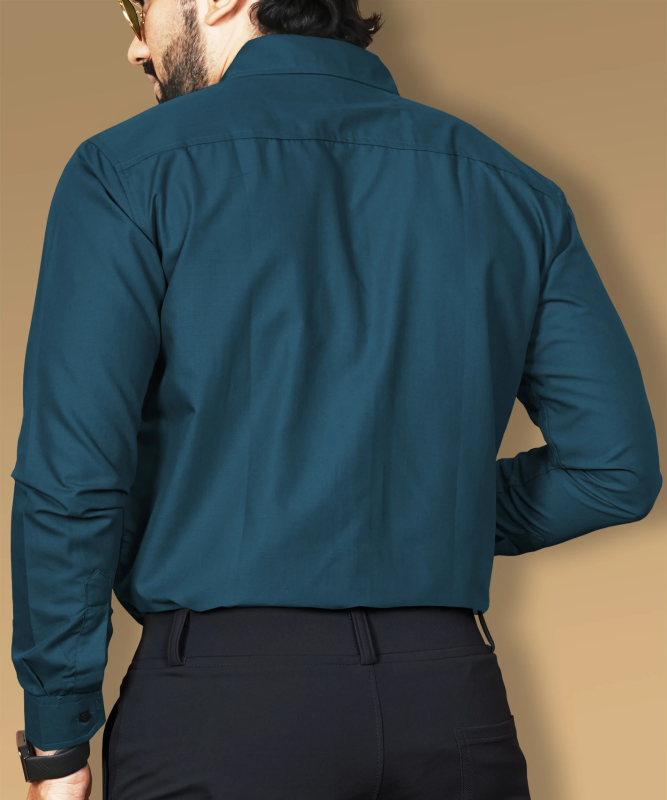 Men Regular Fit Solid Button Down Collar Formal Shirt