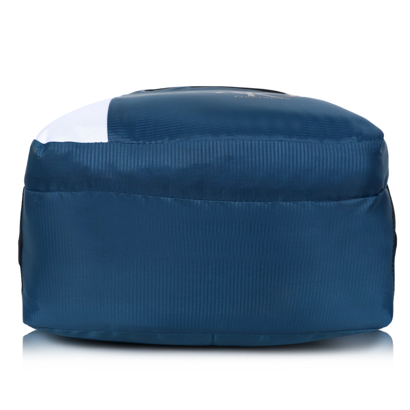 25 Ltrs Polyester Backpack *For Men & Women ( Blue )