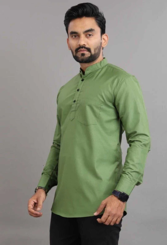 Men Solid Pure Cotton Straight Kurta (Light Green)